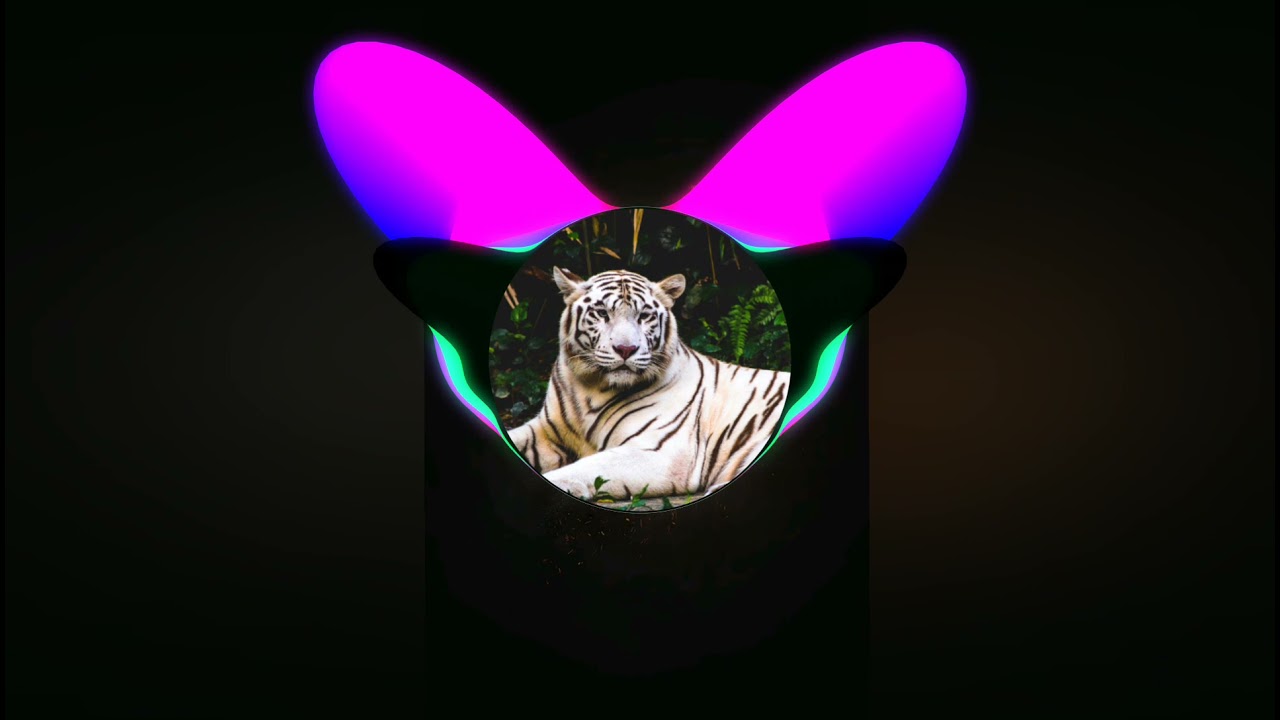 Davuiside - open the club | Bass Boosted