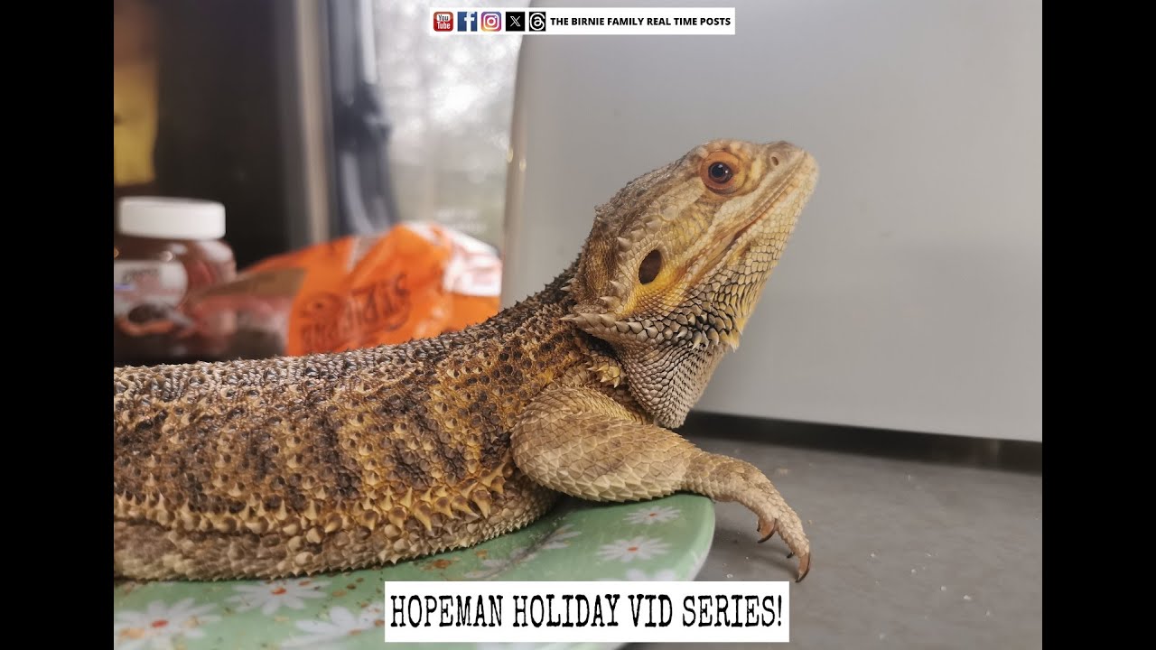 Caravan Life At West Beach Caravan Park | Hopeman Holiday #2 - BF Caravanning