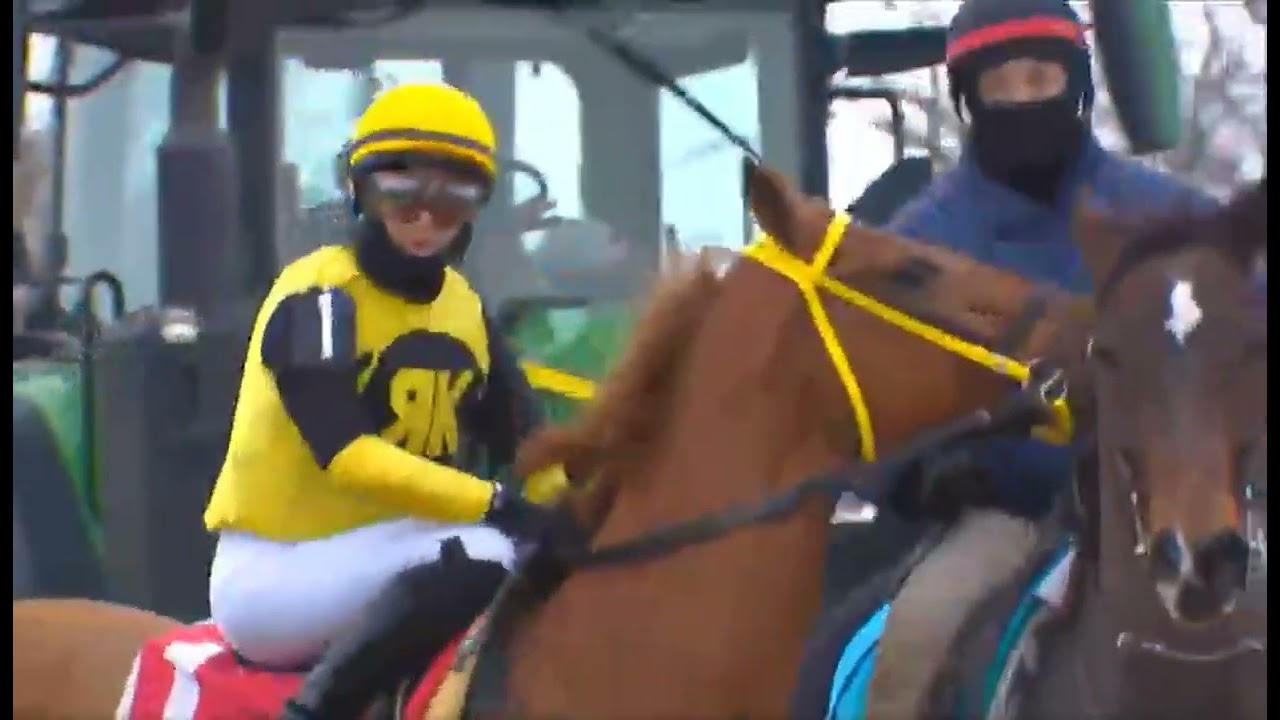 Акведук R1, США, 09 января 2026 г.