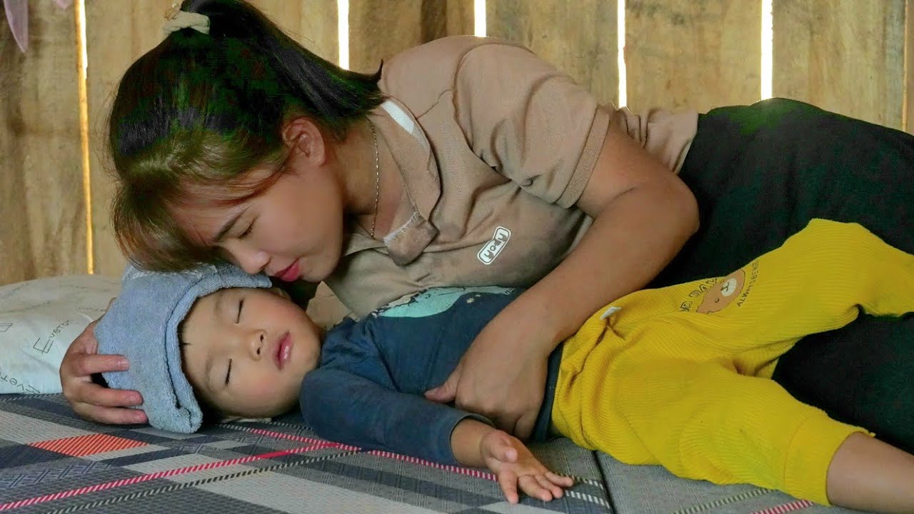Harvesting yellow corn to dry at the farm Daily Freedom