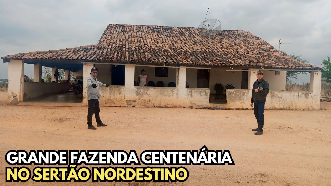 Grande FAZENDA CENTENÁRIA no SERTÃO | Ainda PRODUZ Muita Coisa DESDE 1903 | VEJAM os Detalhes.🌵