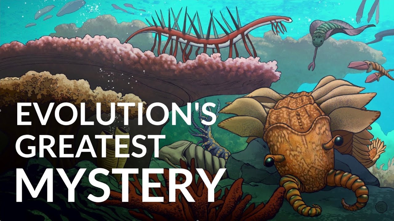 What Caused The Cambrian Explosion?