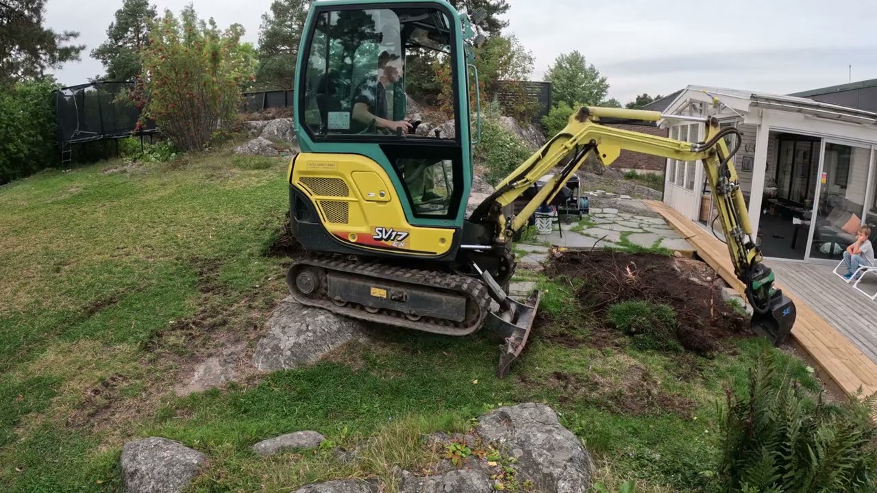 Digging up roots