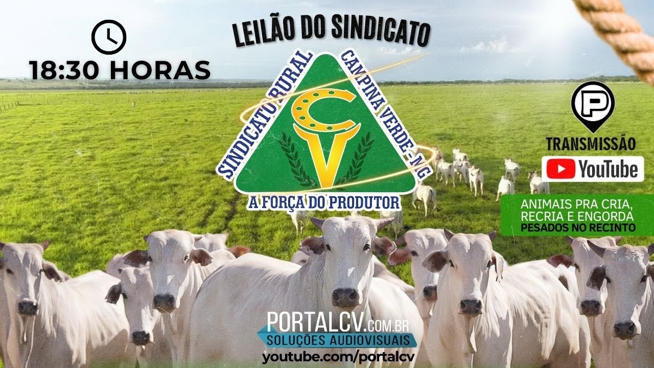 Leilão Sindicato Rural Campina Verde - 23 de Setembro 2024
