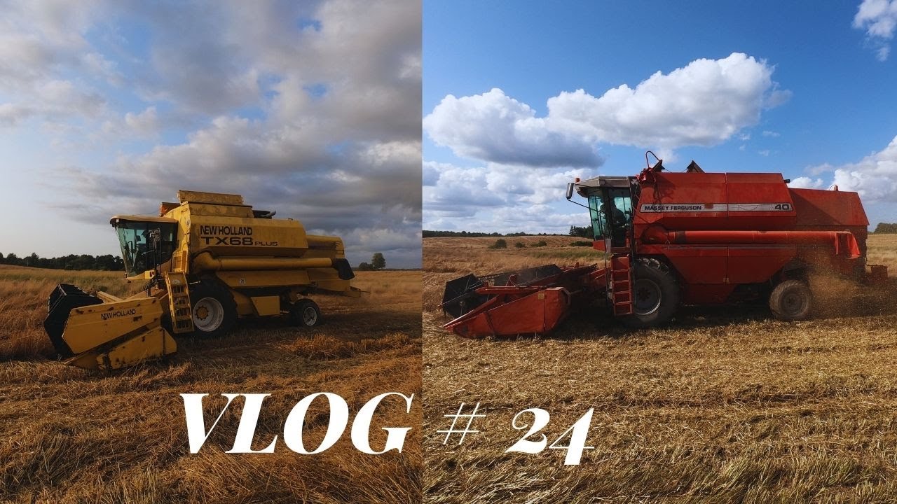 ROZPOCZĘCIE ŻNIW 2021! TRAWA NASIENNA GR RUTECKI NEW HOLLAND TX68 PLUS & MASSEY FERGUSON 40 & T150 K