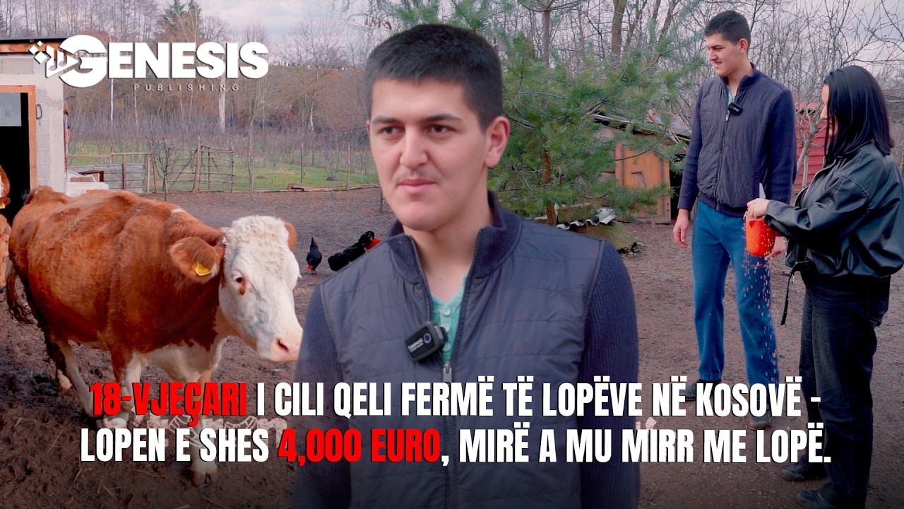 18-vjeçari që hapi fermë të lopëve në Kosovë - Lopen e shes 4,000 euro, 10.000 euro shtalla.