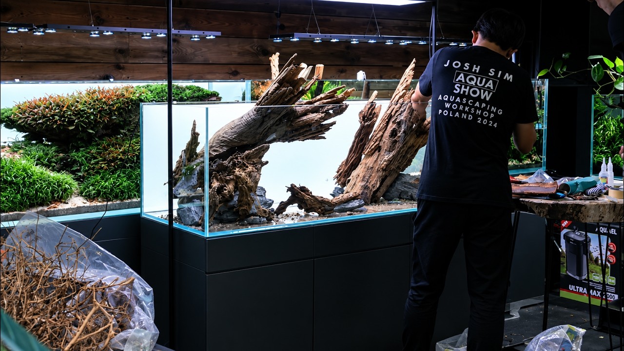 Niesamowita lekcja AQUASCAPINGU - JOSH SIM w AQUASHOW