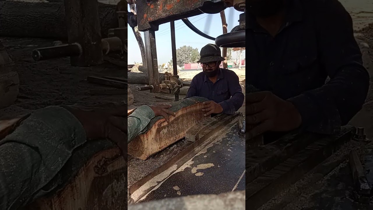 Wod Cutting Work#Extreme  🪚🔥Satisfying Tree Cutting Moments 🌳Bandsaw Machine in Action!Don’t Blink 👀