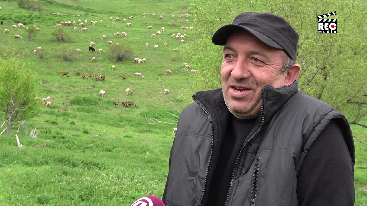 Niko neće u čobane