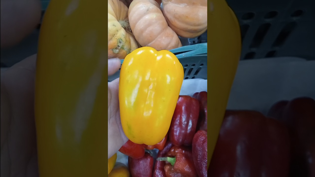 Benef&iacute;cios do piment&atilde;o amarelo #saudeebemestar
