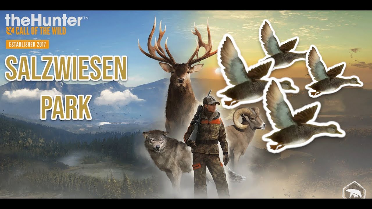 Close up bow Hunting with Electronic caller on | Salzwiesen Park | #thehuntercallofthewild #cotw