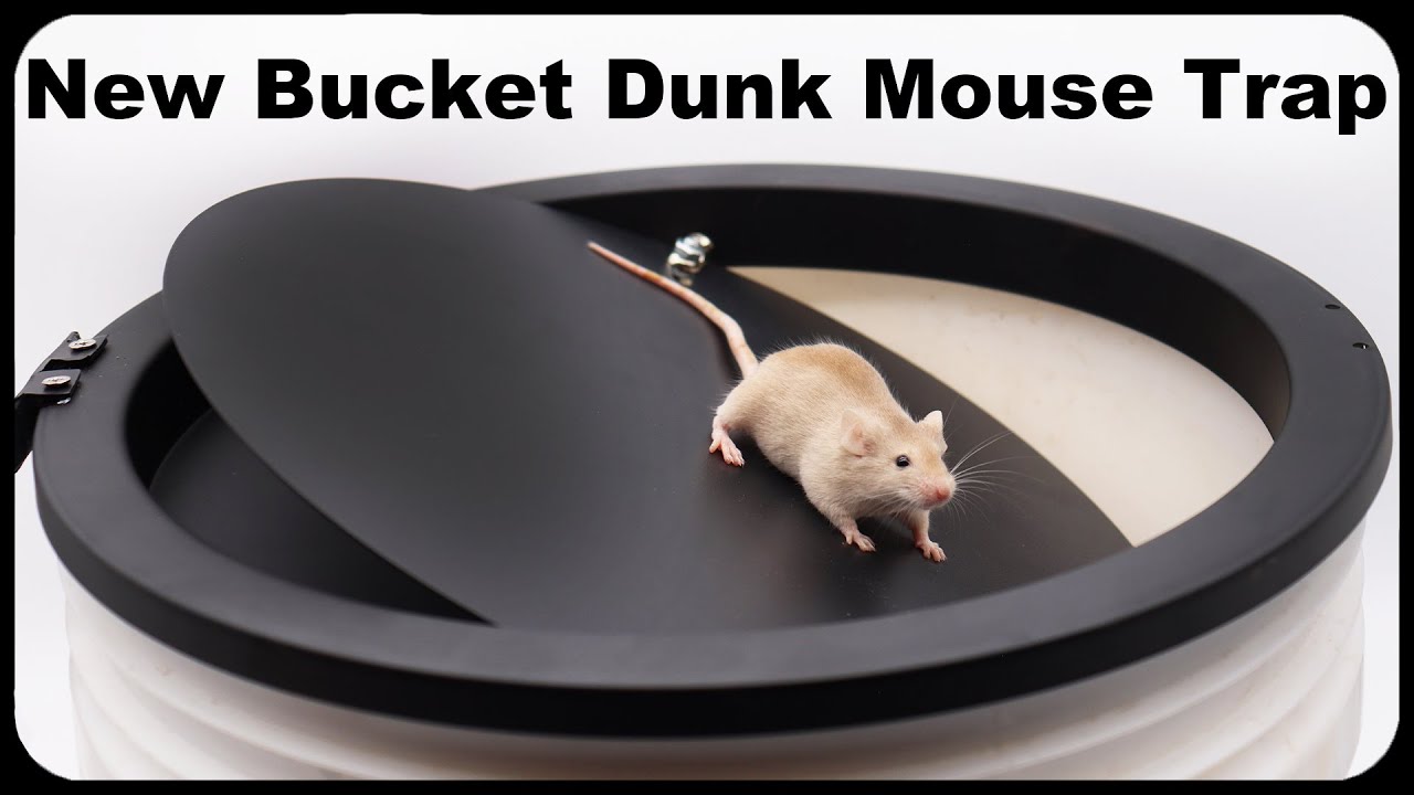 A New Bucket Dunk Mouse Trap Sold On Amazon. Mousetrap Monday