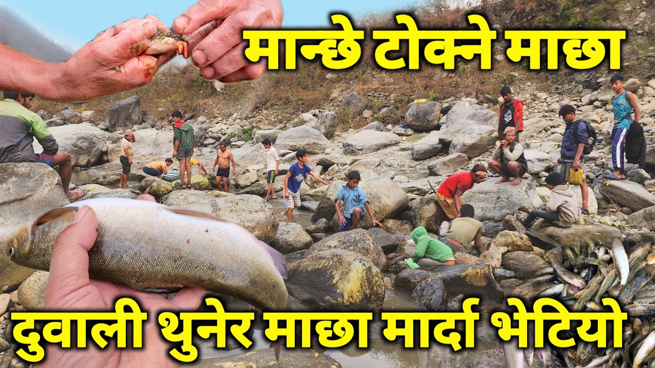 दुवाली थुनेर माछा मार्दा भेटियो अचम्मको मान्छे टोक्ने माछा | लामो सुडो भएको हेर्दै डरलाग्दो