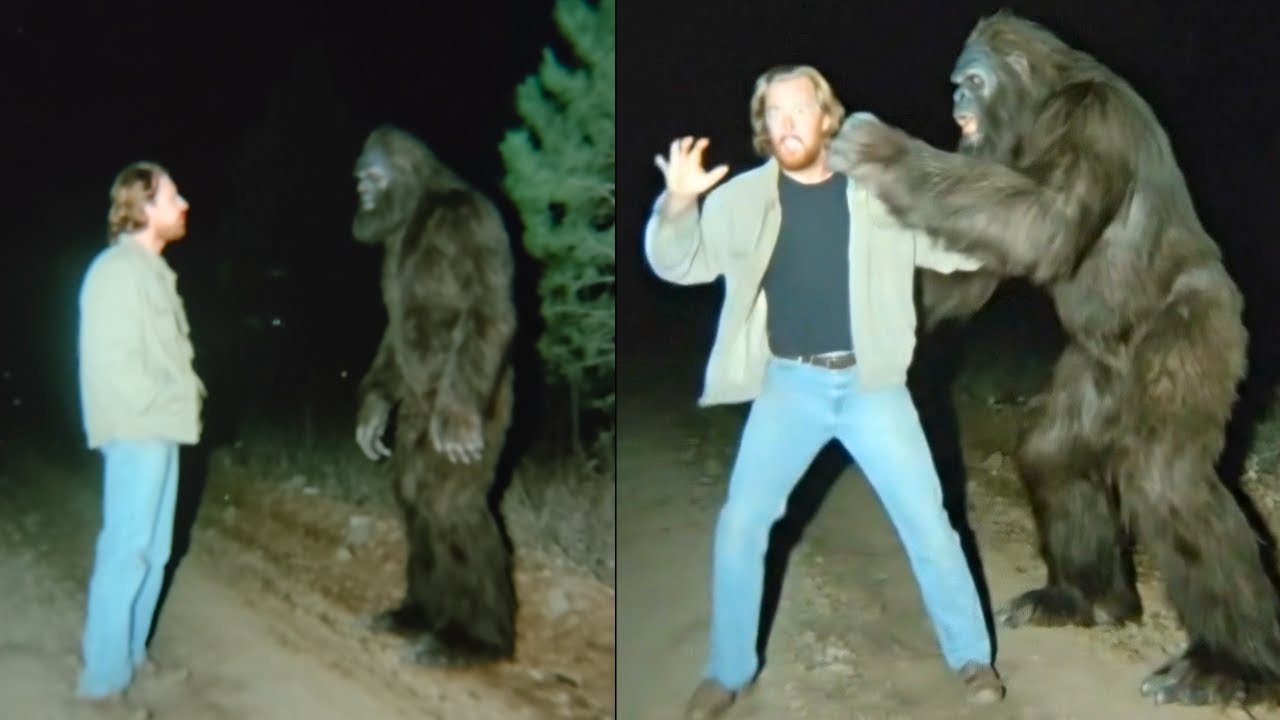 This Bigfoot Was Speaking Perfect English, But When It Noticed I Was Recording… - Sasquatch Story