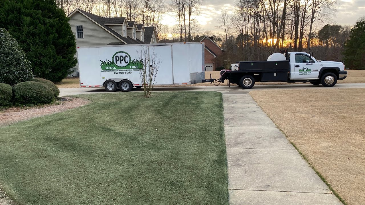 Painting dormant Bermudagrass