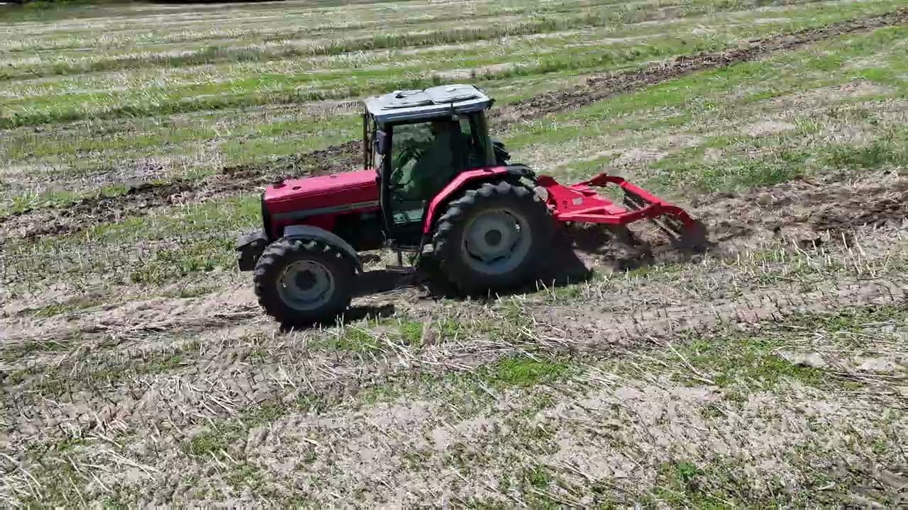 MASSEY FERGUSON 6160 - głęboszowanie 2025