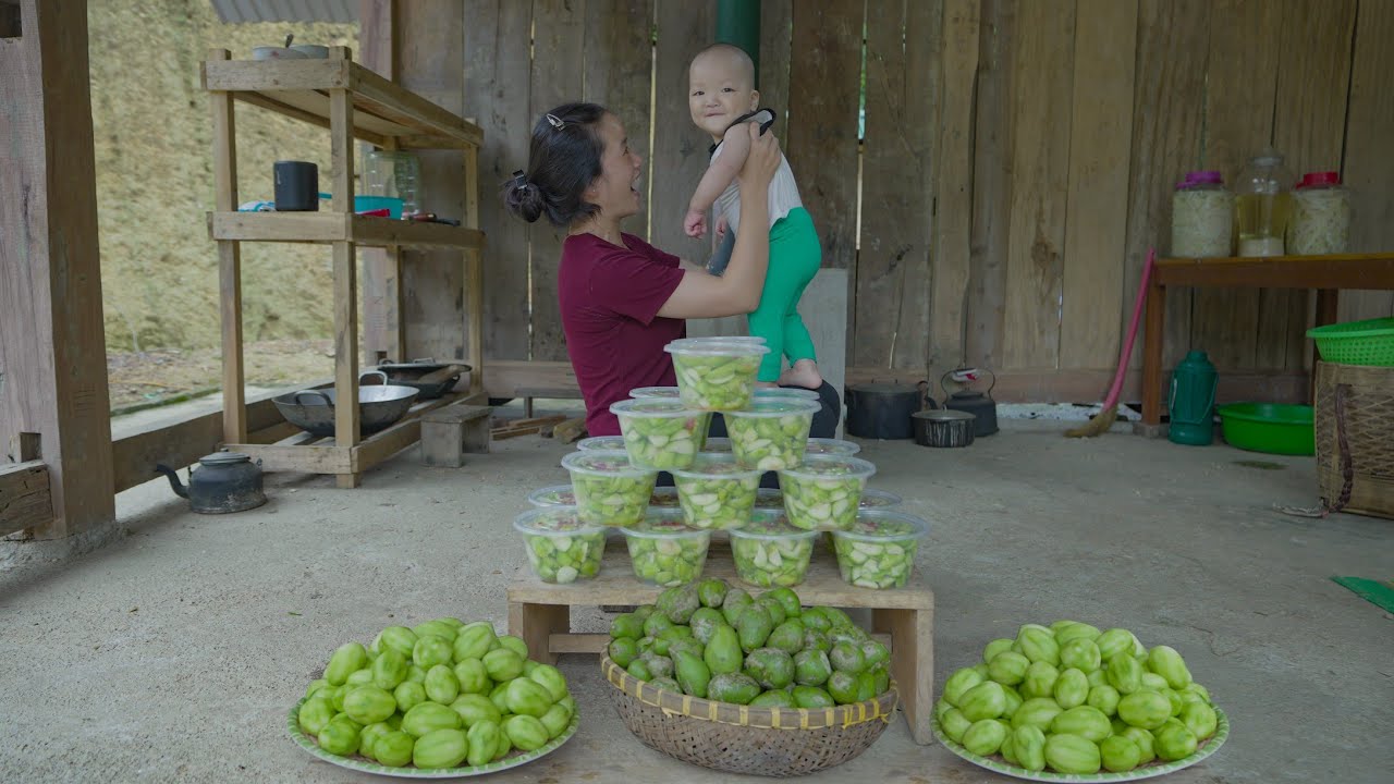 Harvesting Toad Fruit - How to Make Delicious Salted and Chili Toad Fruit to Sell at The Market