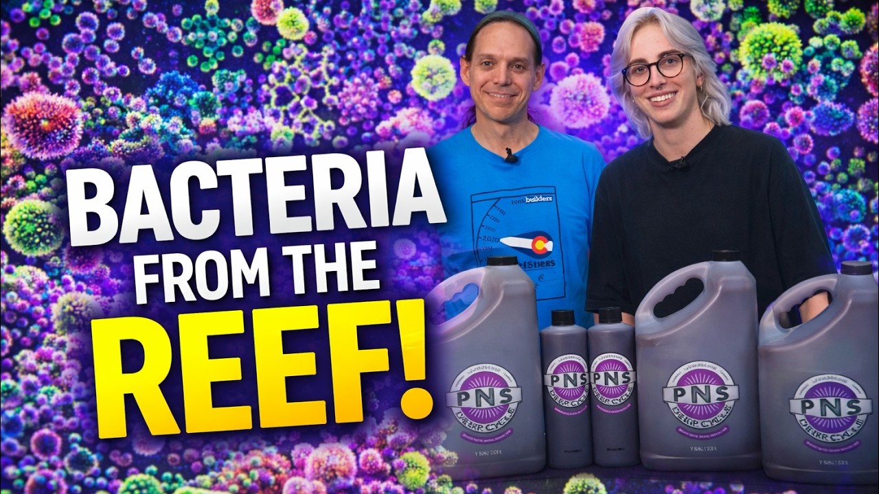 Straight from the Reef: Why Hydrospace Deep Cycle is the Ultimate Live Bacteria for Your Tank