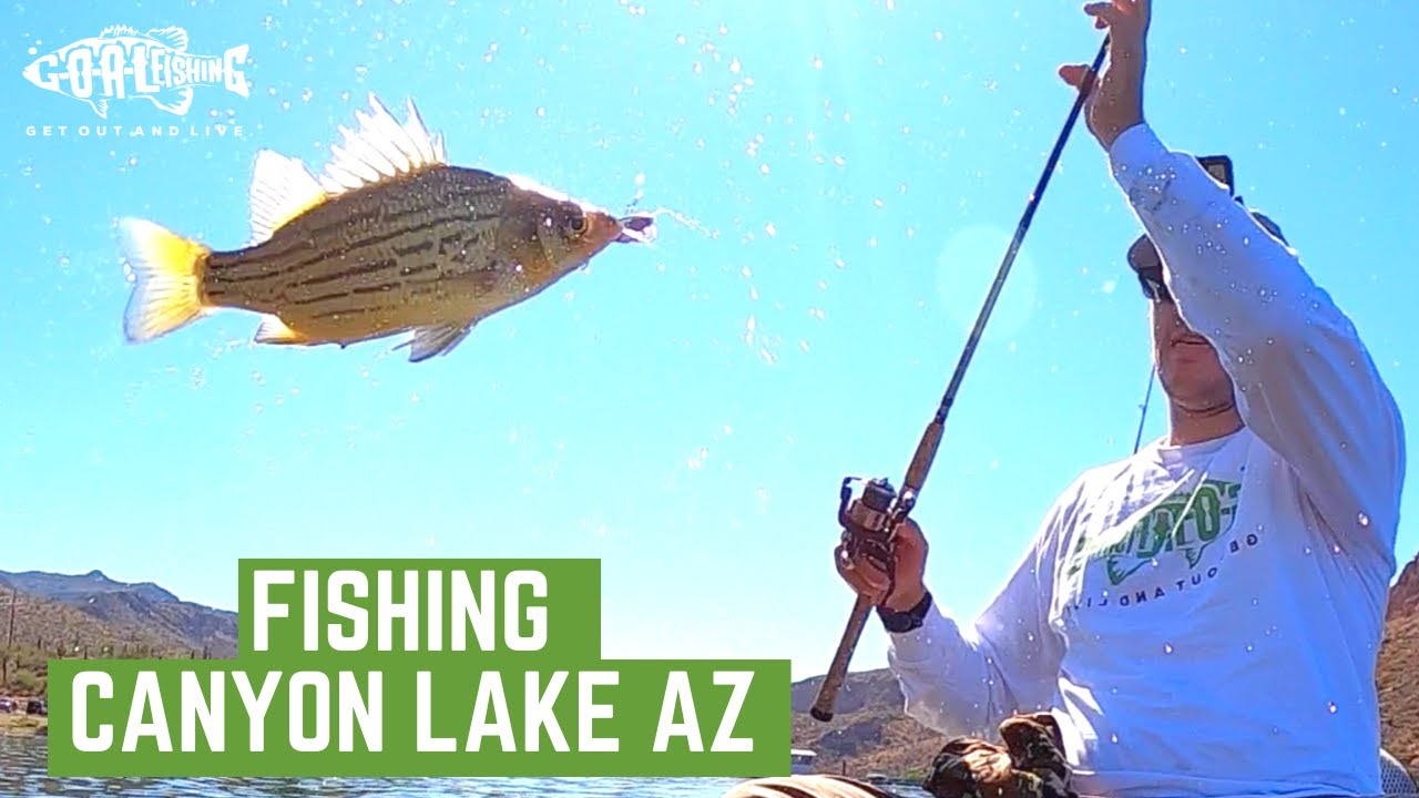 Fishing Canyon Lake AZ // Fill the Cooler with Yellow Bass