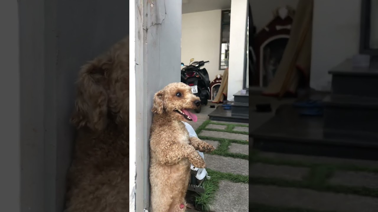 Đi chơi tí về bị phạt rồi