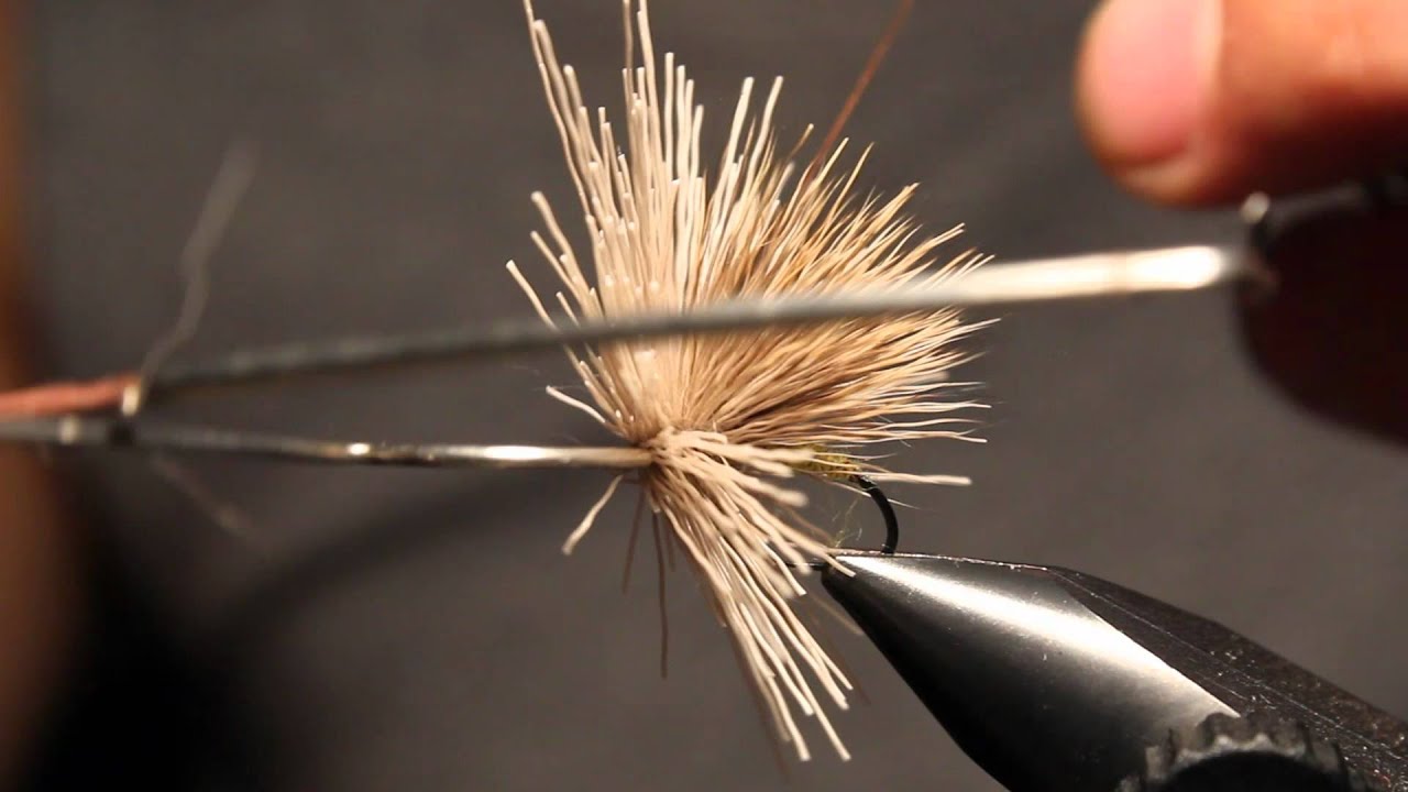 Flugbindning - Streaking Caddis (Flugor för fjället)