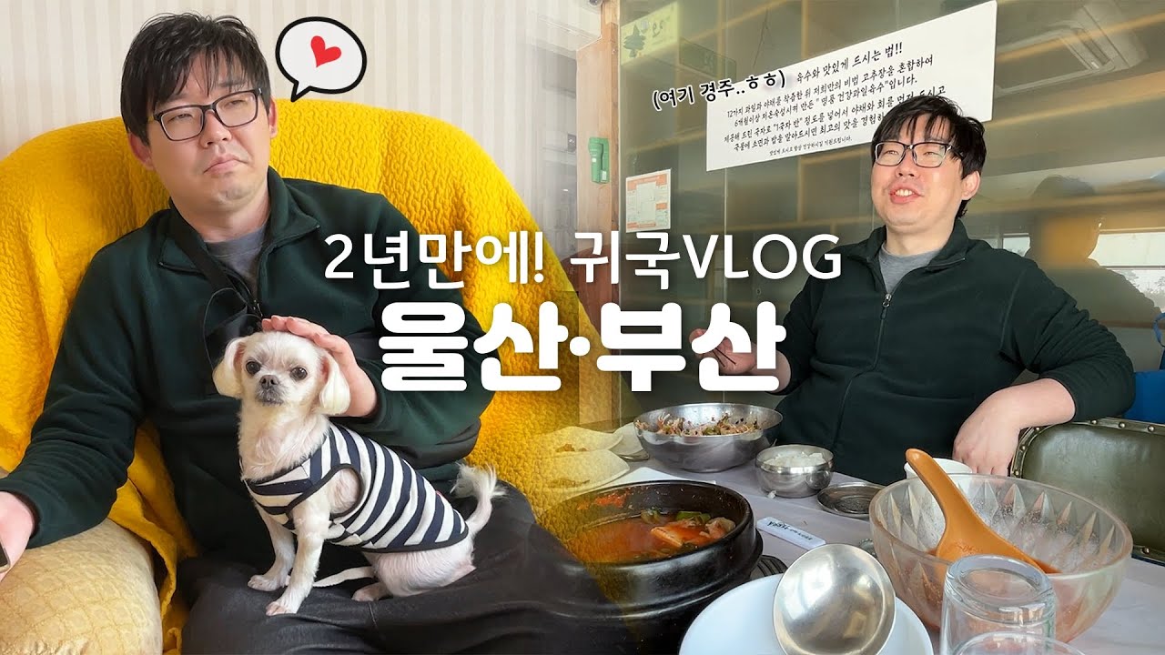 귀국VLOG |2년만에 한국 |울산본가에서 맛집으로 |부산에서 돼지갈비&쇼핑 |서면 롯데호텔