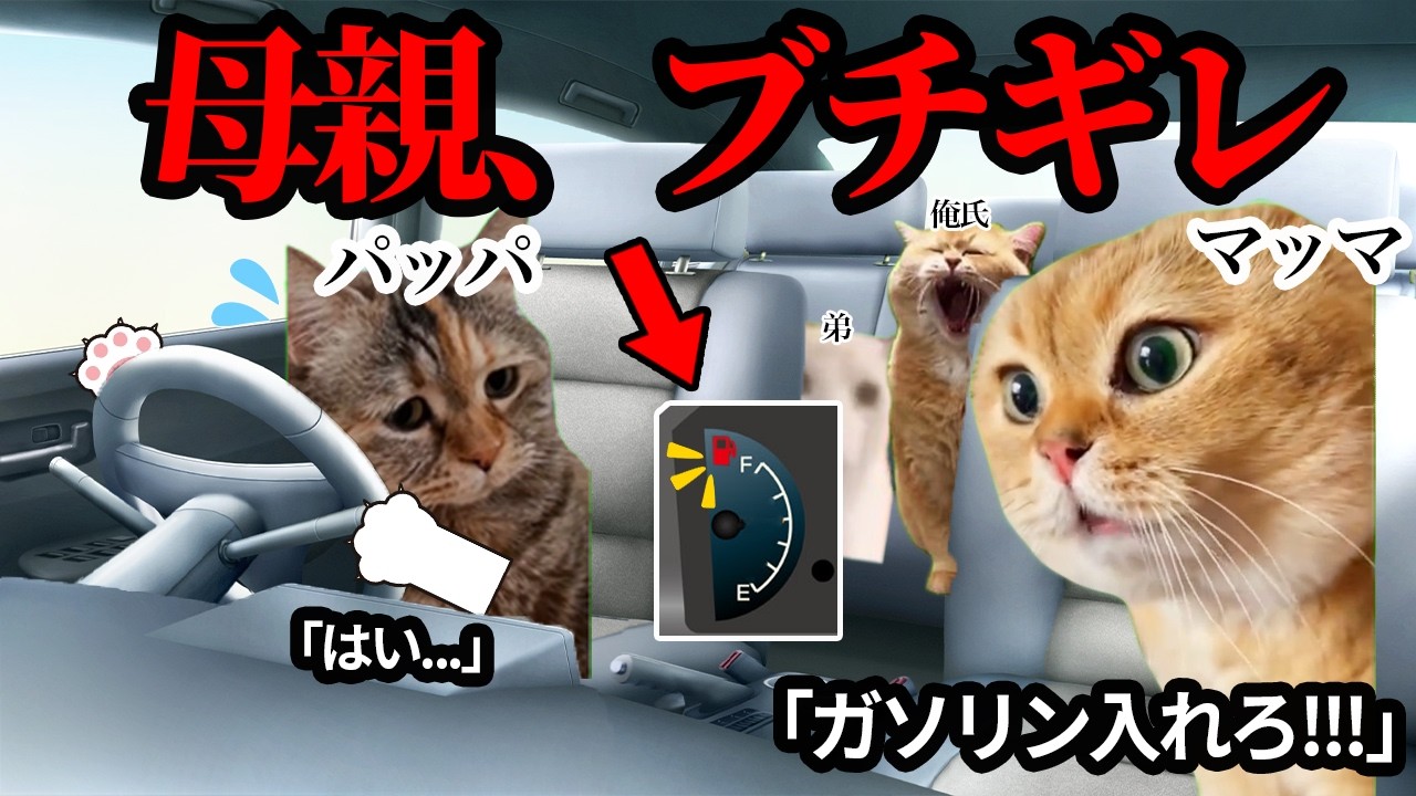 ガス欠で父親がお母さんにガチギレられました...#猫ミーム #猫マニ