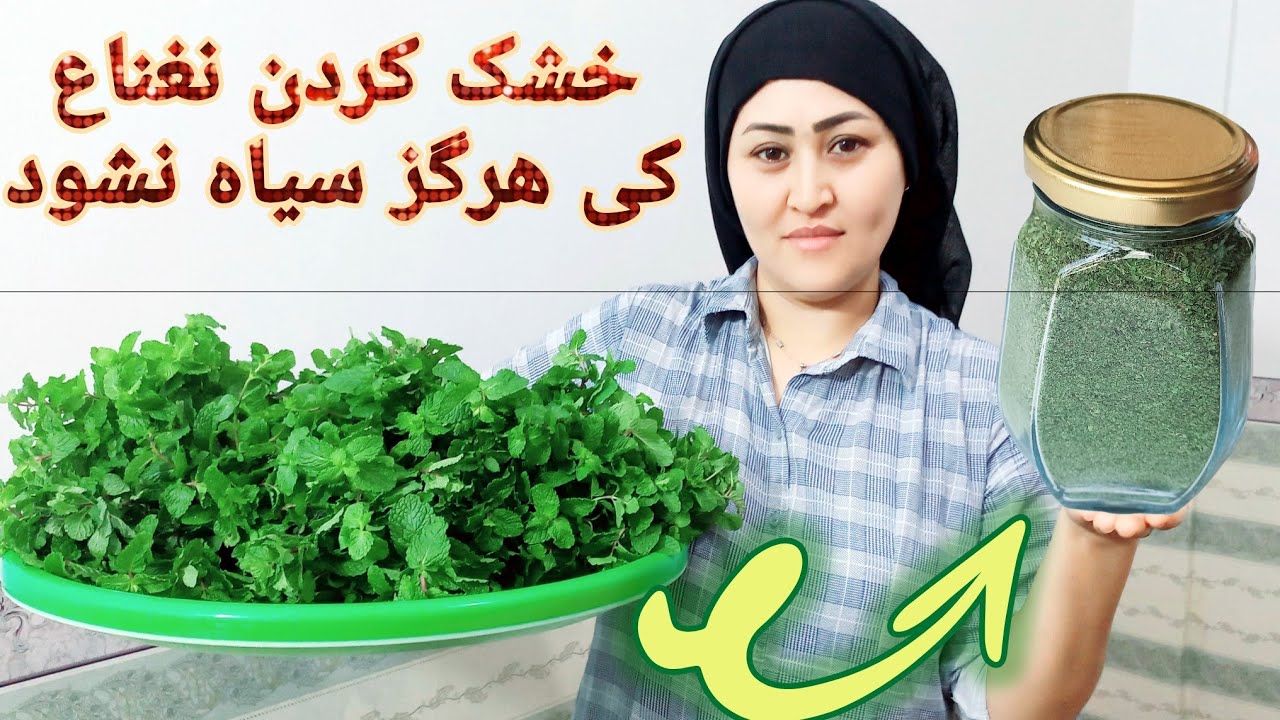 طریقه خشک کردن نغناع بدون کی سیاه شود و بسیار هم فوری .