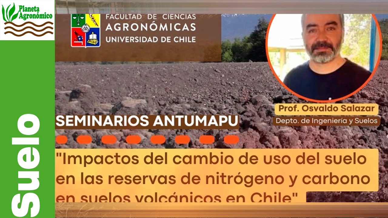Impactos del CAMBIO DE USO DEL SUELO 🌱 en reservas de nitrógeno y carbono suelos volcánicos de Chile