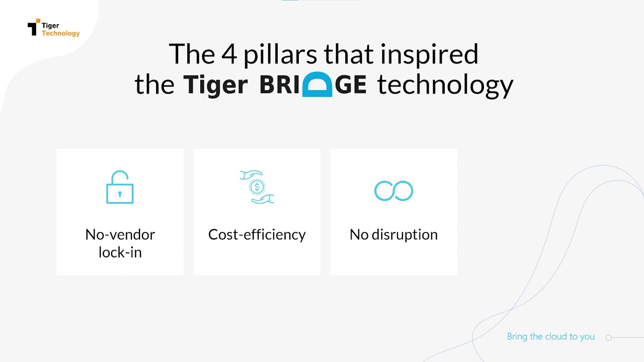 Tiger Bridge Overview in 5 Minutes