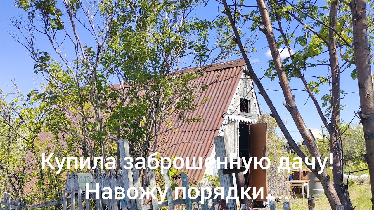 купила заброшенную дачу! навожу порядки