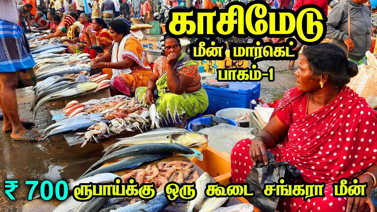 💥காசிமேடு மீன் மார்க்கெட்| Kasimedu Fish Market #biggestfishmarket #kasimedu #vanagaram #viralvideos
