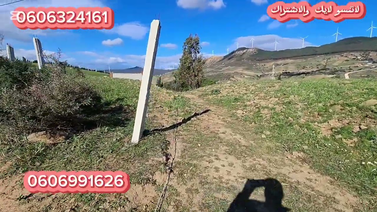 همزة معتبره :قطعة أرضية ملكية 3000متر فيها دار بلدية واصلا الماء الضوء على الطريق نواحي الزميج طنجة