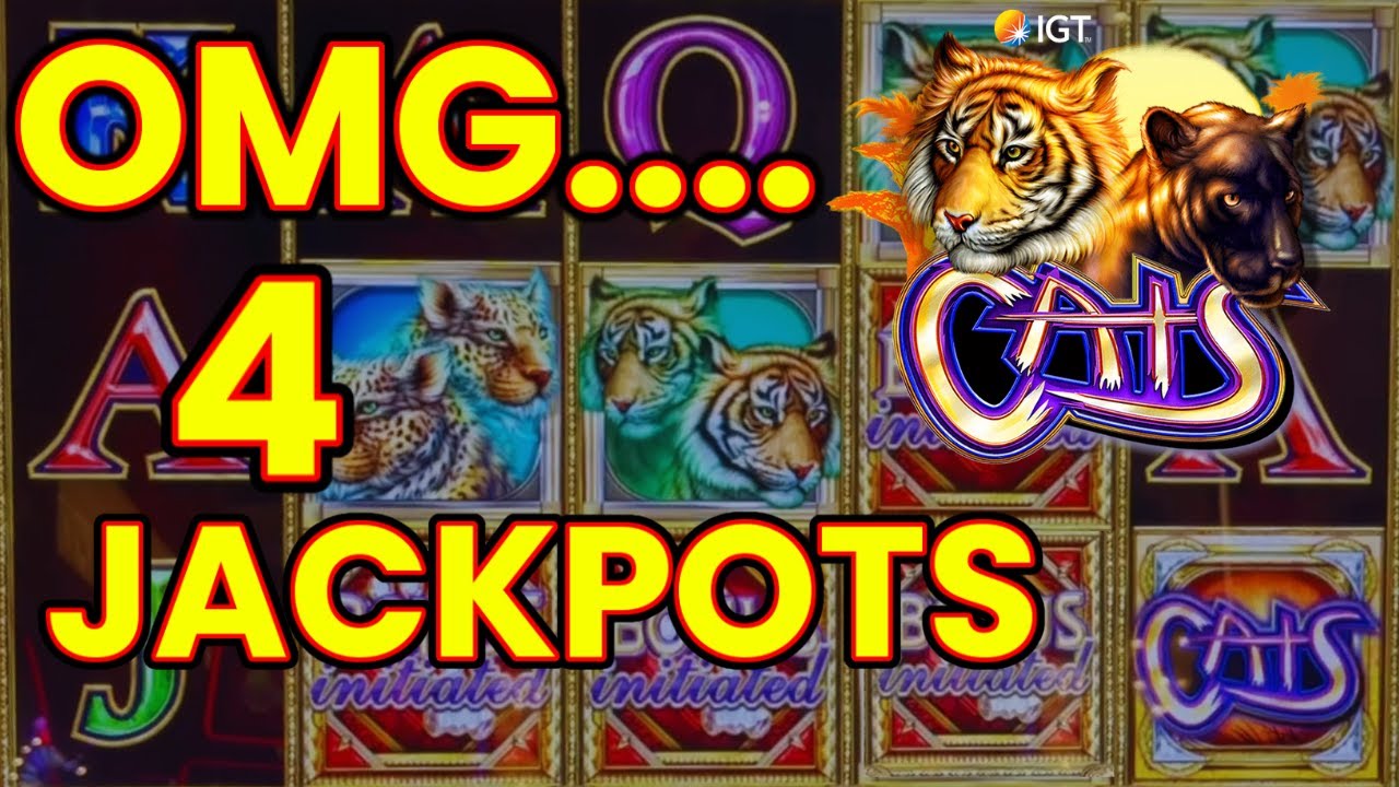 OMG! CATS IS ON FIRE!! Huge Profit 4 Jackpots! I love Cats!