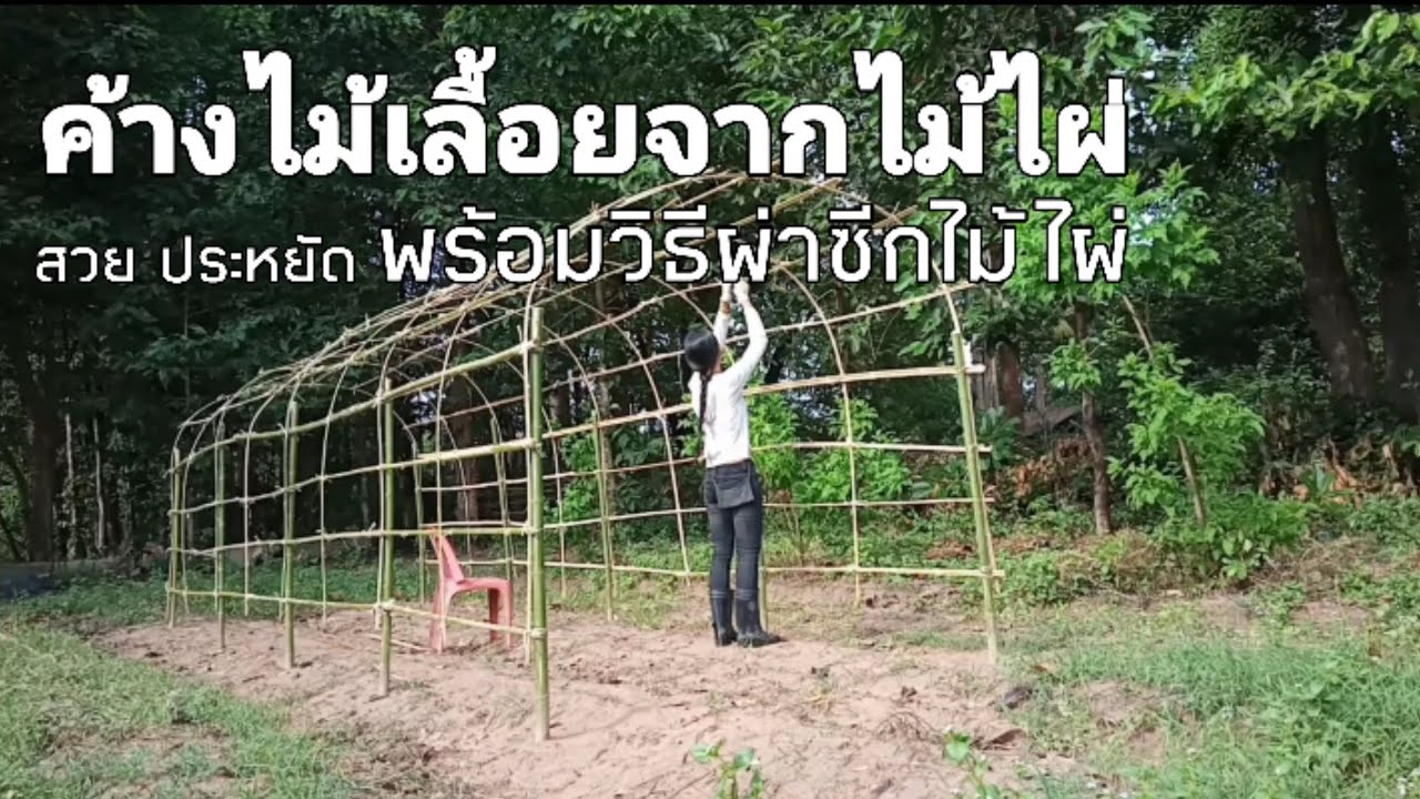 ค้างไม้เลื้อยจากไม้ไผ่ สวย ประหยัด พร้อมทั้งวิธีผ่าซีกไม้ไผ่