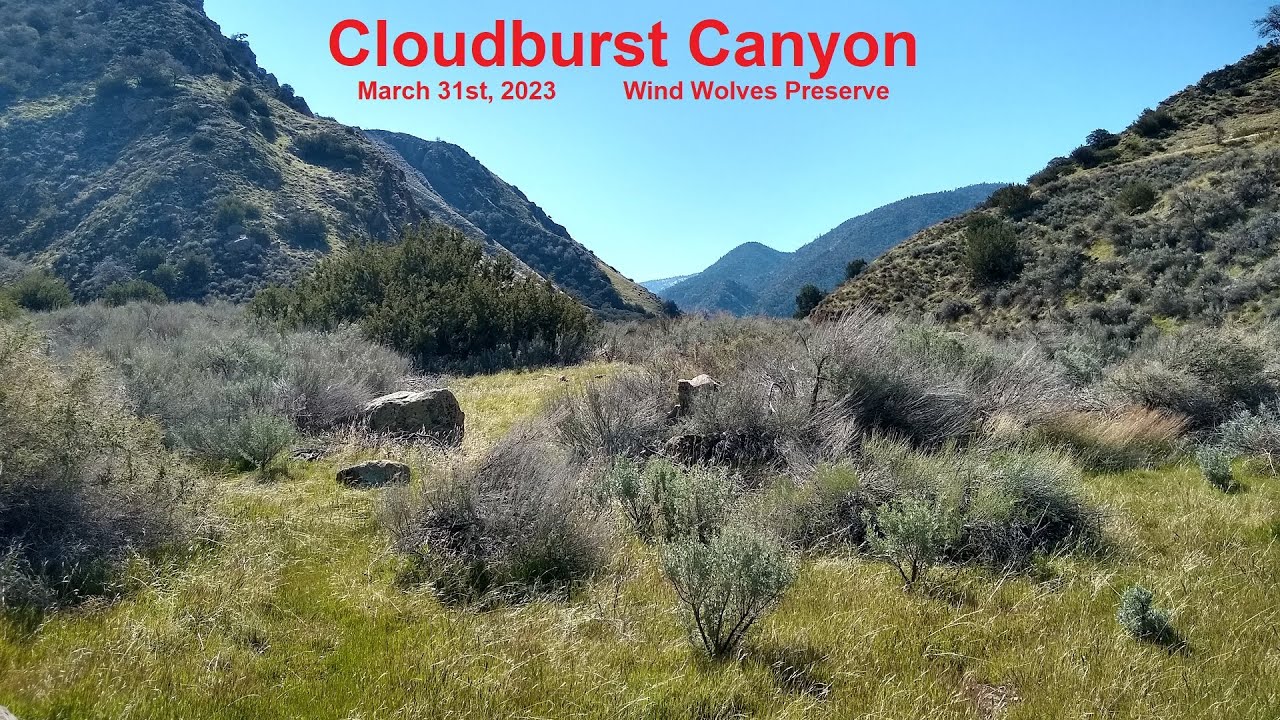 Cloudburst Canyon (Wind Wolves Preserve)