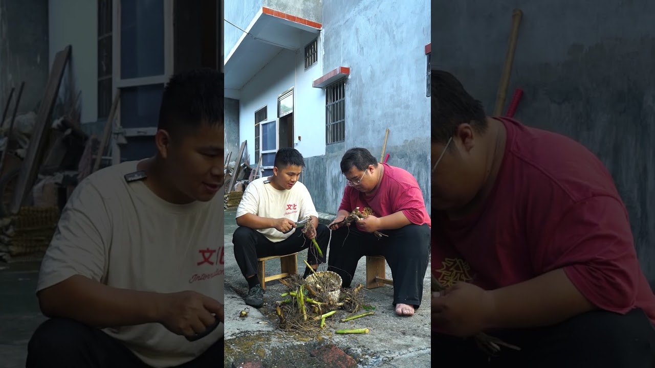 Dig up the roots of edible canna to create a tasty treat🤤.
