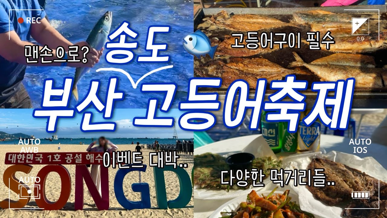 부산 송도 고등어축제 안가실건가요?!🐟(간식,먹거리,이벤트)