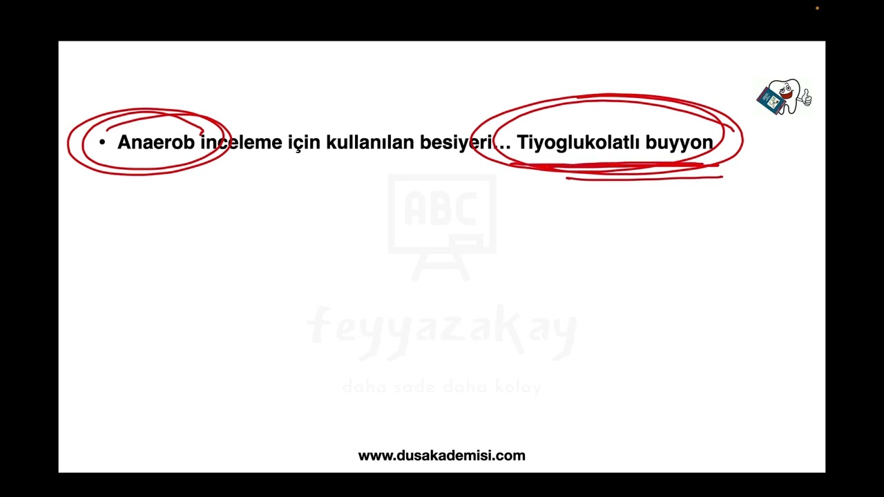 FA DUS MİKRO SPOT TEKRAR