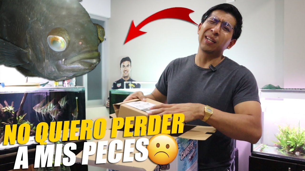 Todos Mis Peces Tienen El Ojo Blanco