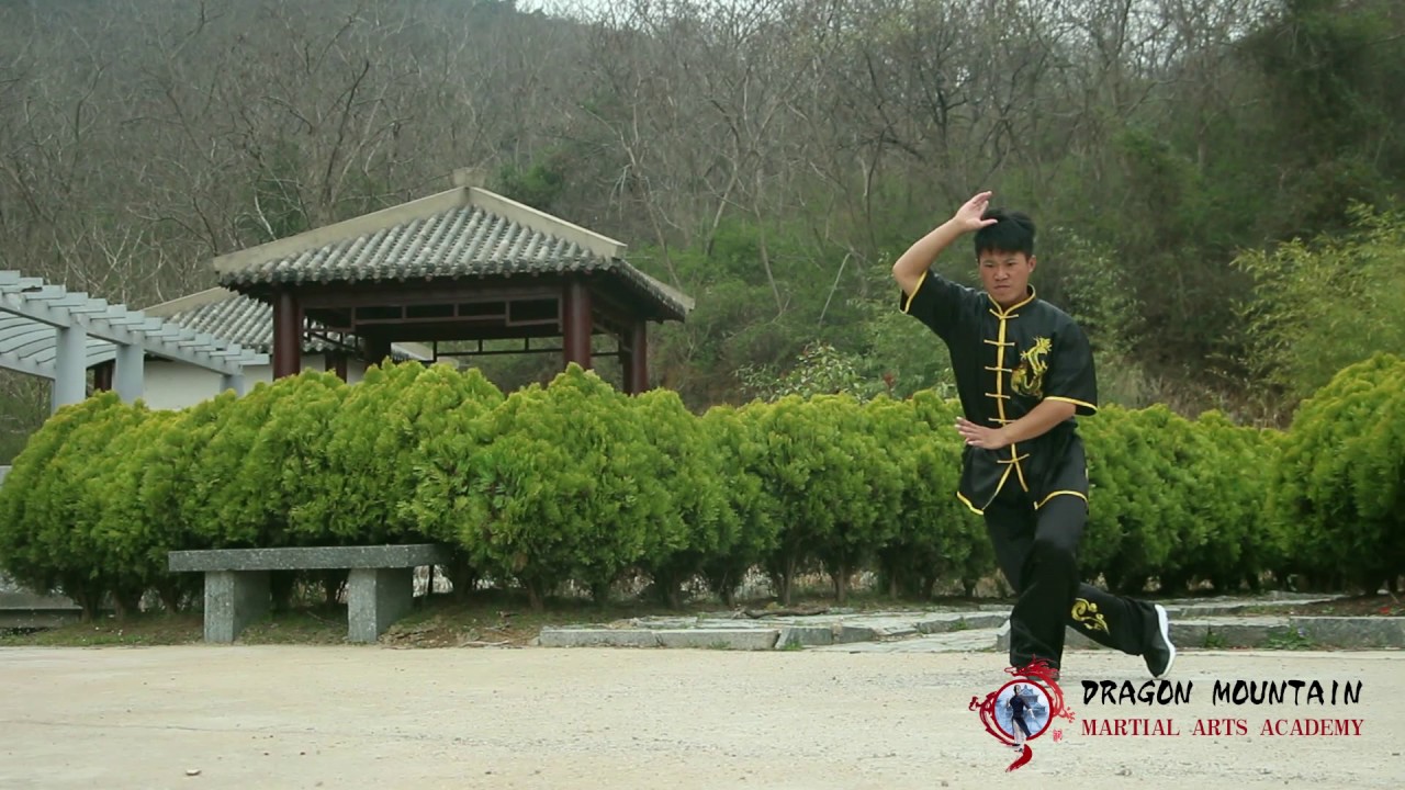 Shaolin Jin Gang Quan (金刚拳) | Shaolin Kung Fu | Shaolin Martial Arts