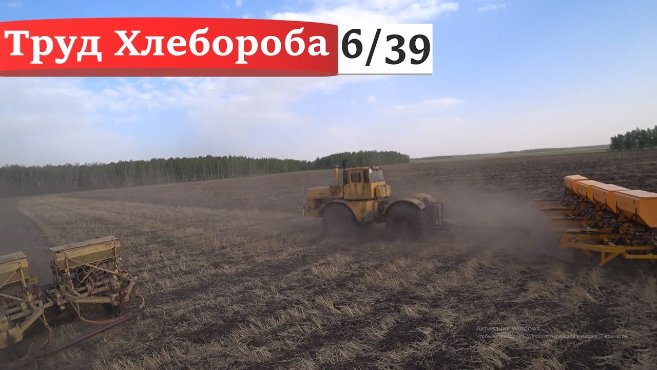 Подготовка К-700А к посеву, МАЗ-5551 на учЁт, сев, раскидываю удобрения на КОЛЁСНОМ дт-75.