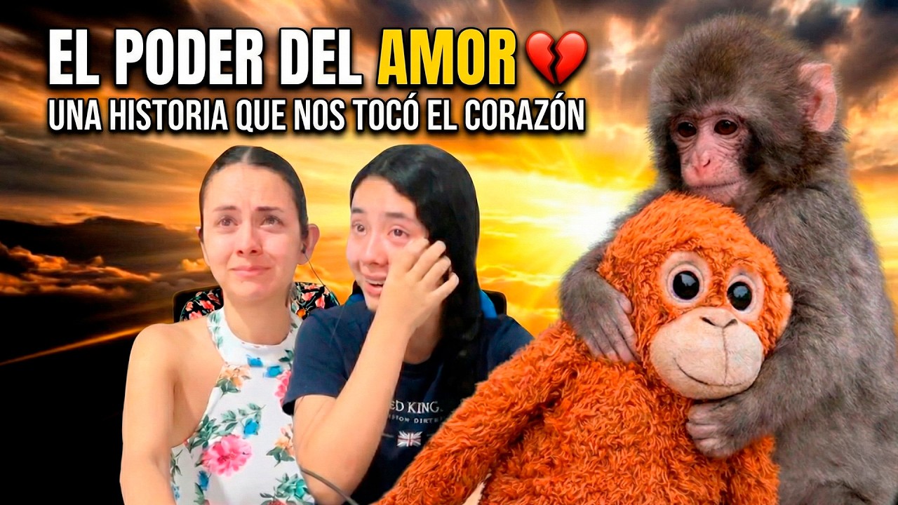 ANSO y SOFI LLORAN con la triste historia del monito y su peluche 🐒💔