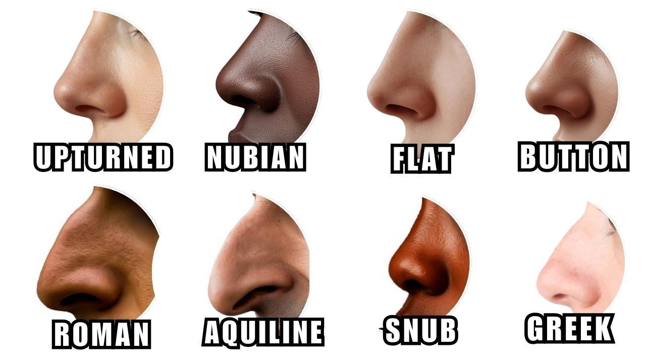 What Your Nose Shape Reveals About You