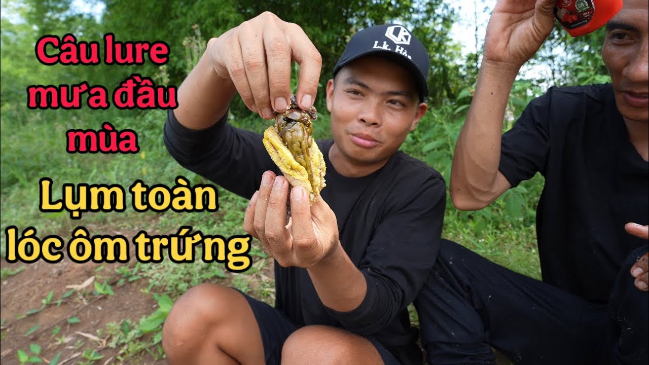 Câu Lure Sau Mưa Đầu Mùa, Lụm Toàn Cá Lóc Ôm Trứng