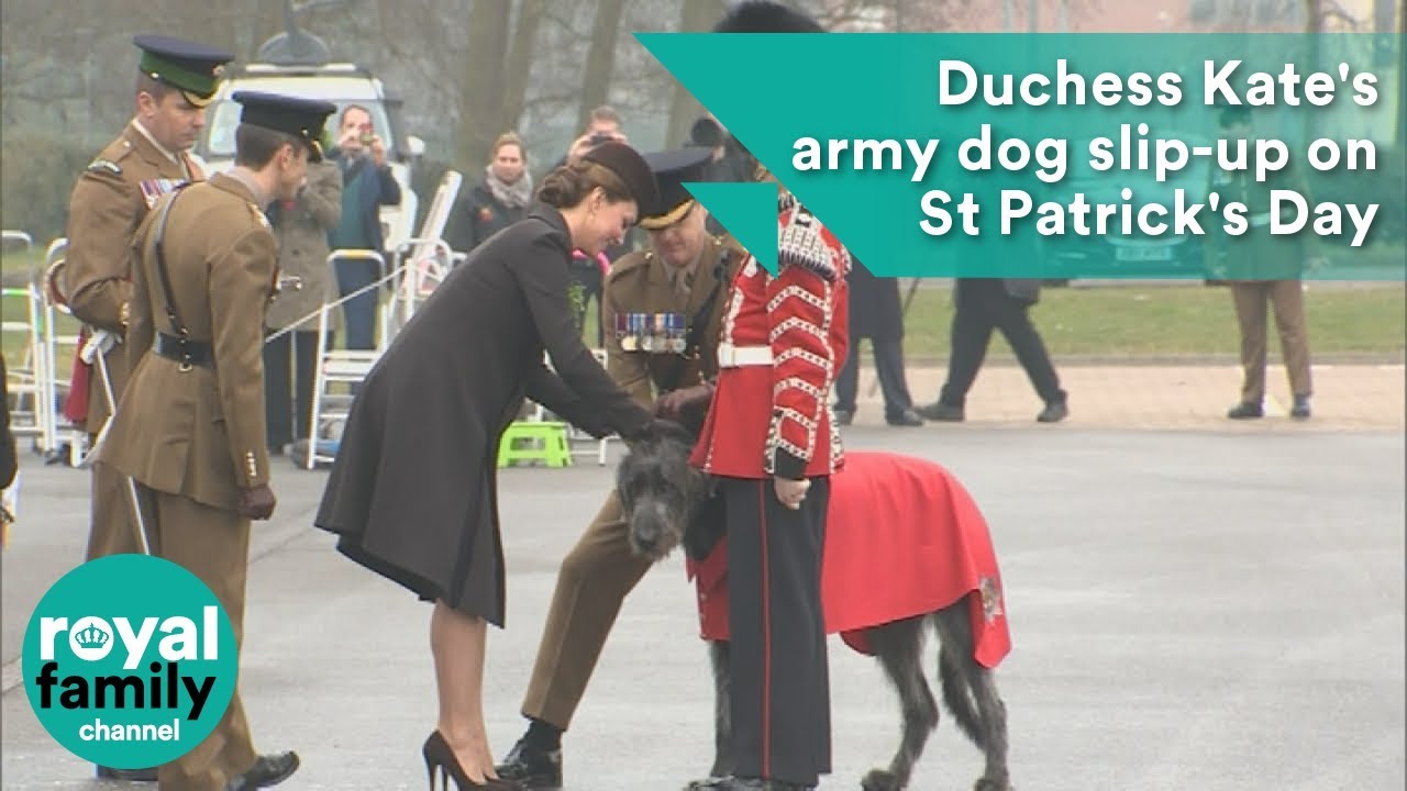 Duchess Kate's army dog slip-up on St Patrick's Day
