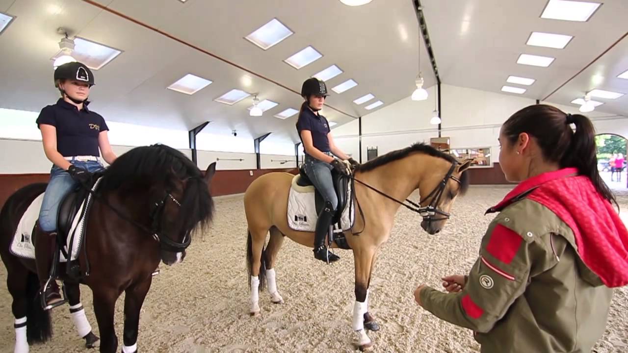 Dressuurstal van Baalen - Bedrijfsfilm Hippisch Ondernemer van het Jaar