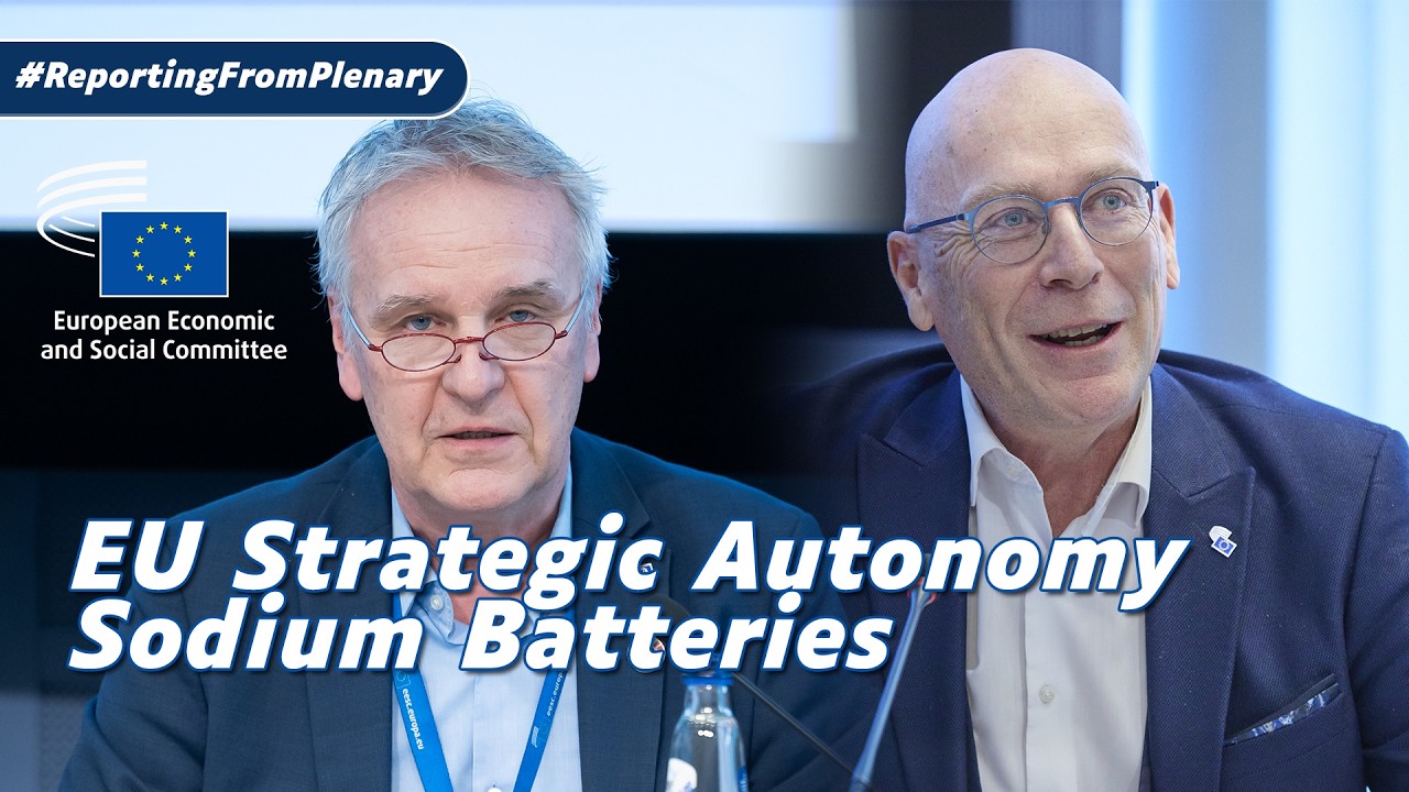 Enhancing EU strategic autonomy: sodium battery sector | RFP (CCMI/250)