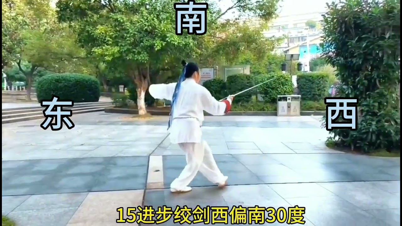 42式太极剑，李德印标准方位教学，太极依依背面示范！#健康 #太极 #太极拳