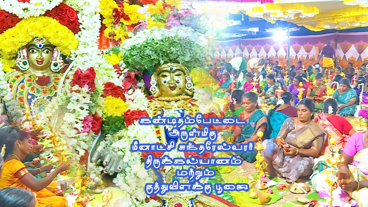 கண்டிதம்பேட்டை | அருள்மிகு மீனாட்சி சுந்தரேஸ்வரர் திருக்கல்யாணம் | குத்துவிளக்கு பூஜை | D Studio